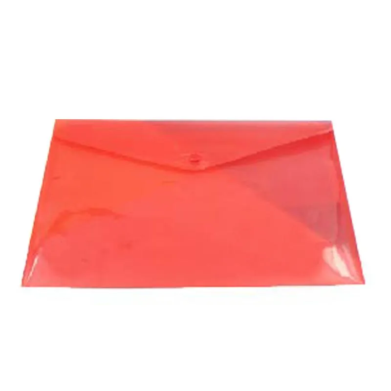 A4 See-Through Coloured Document Holder