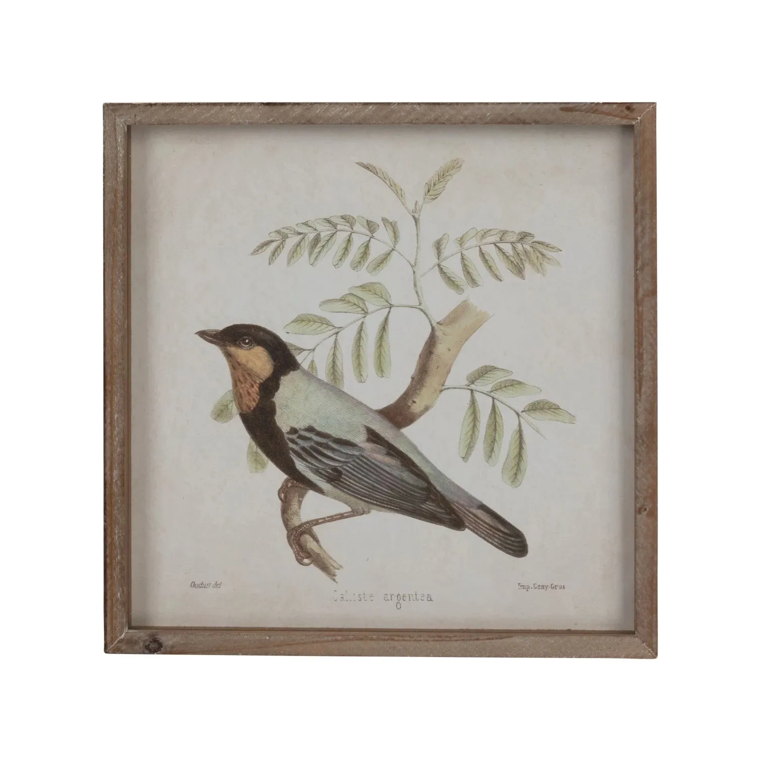 Bird Wall Decor 14" Square