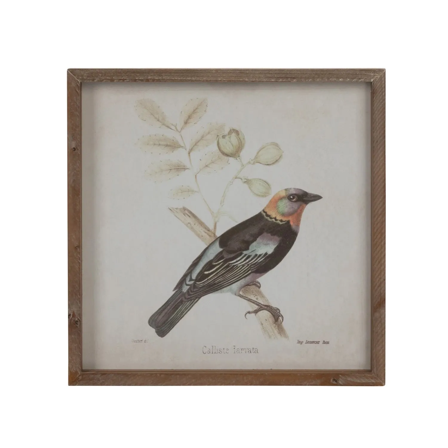 Bird Wall Decor 14" Square