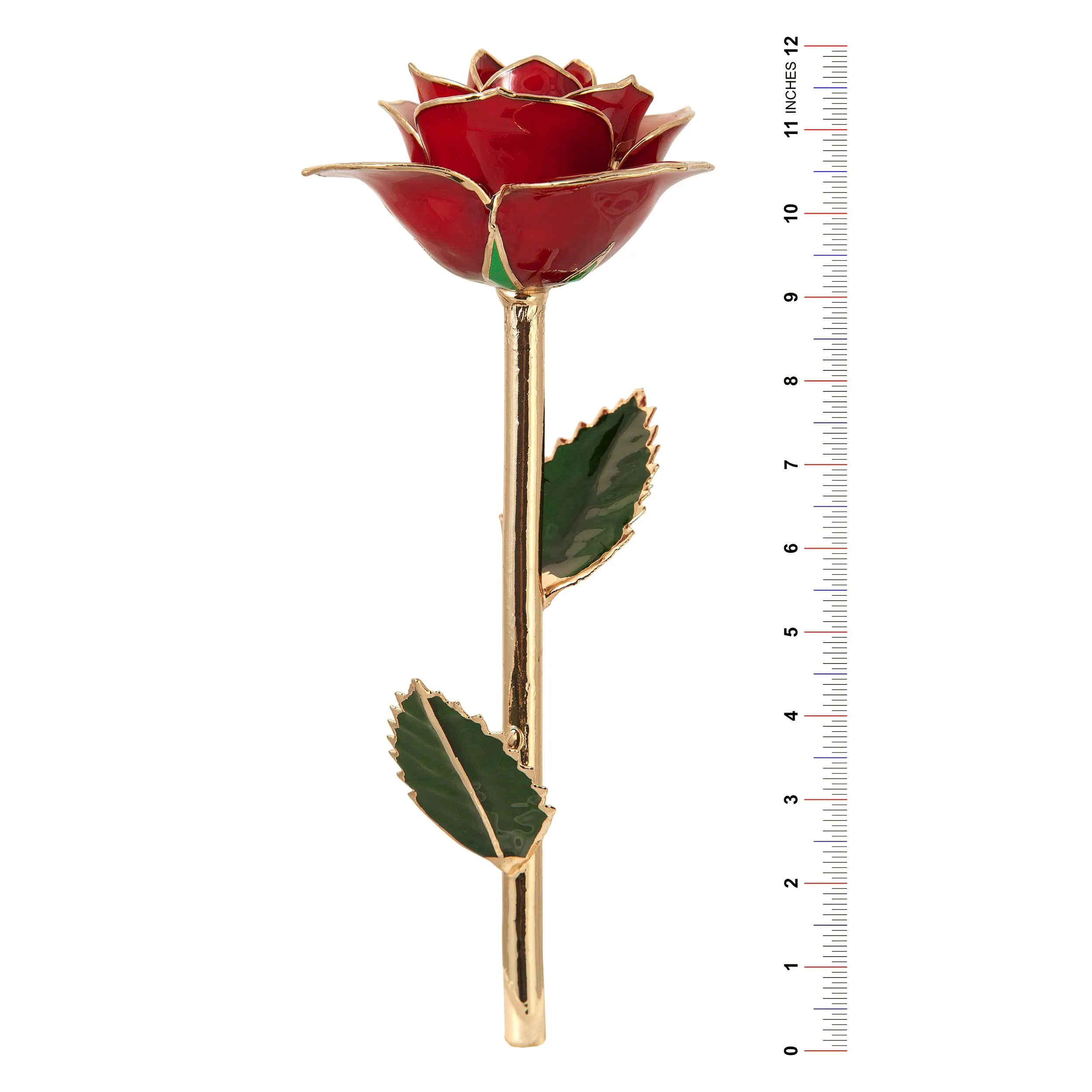 Burgundy Wine 24k Gold Dipped Rose