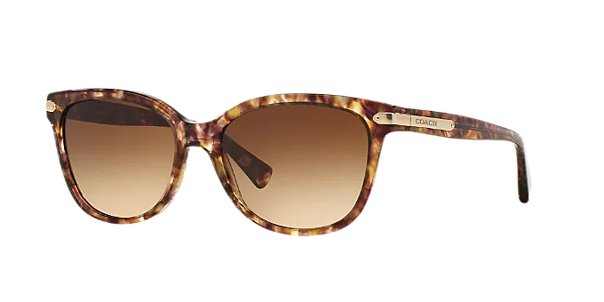 Coach Cat Eye Non-Polarized Sunglasses - Confettit Light Brown/Brown Gradient