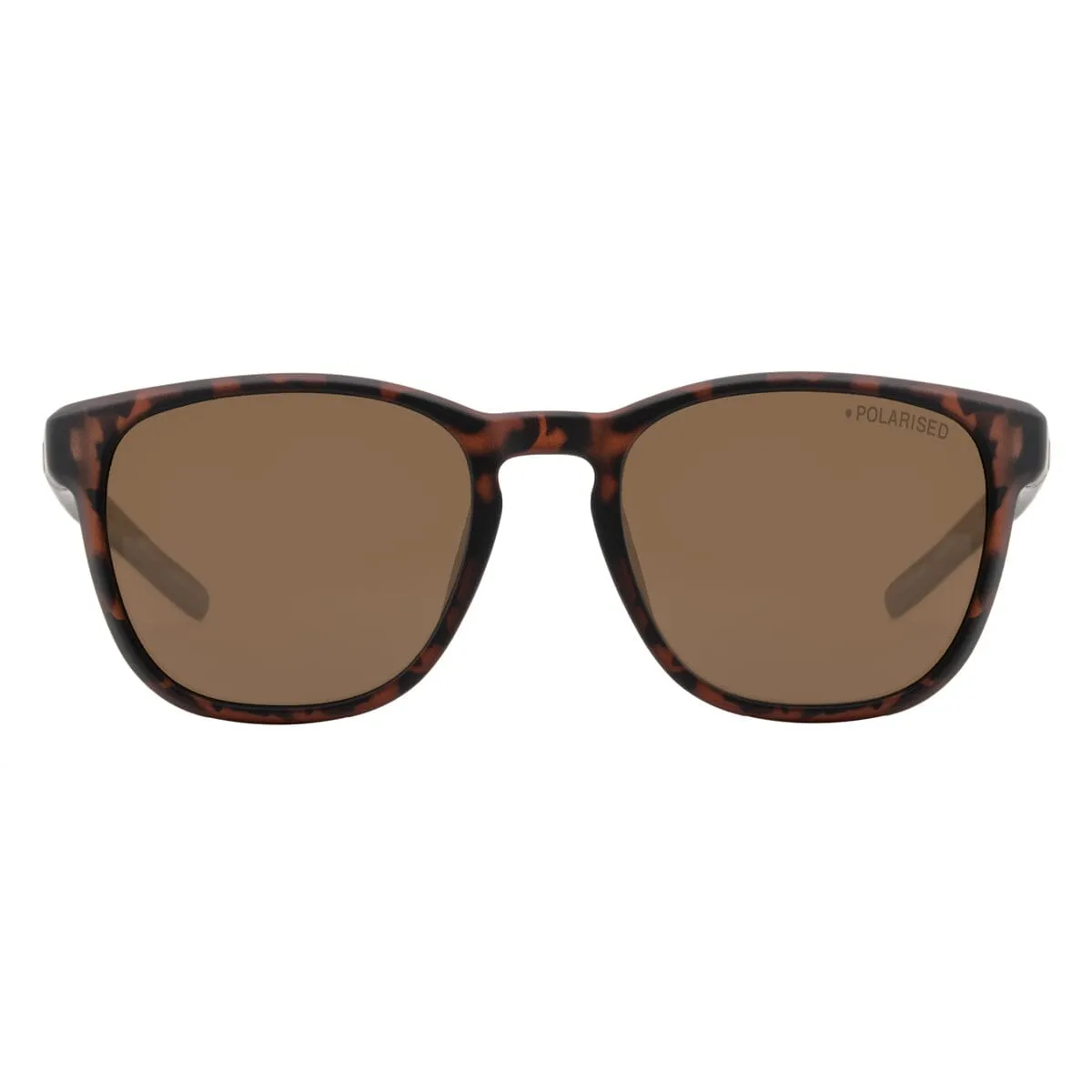 DD Lit - Satin Tortoiseshell/Brown Polarised