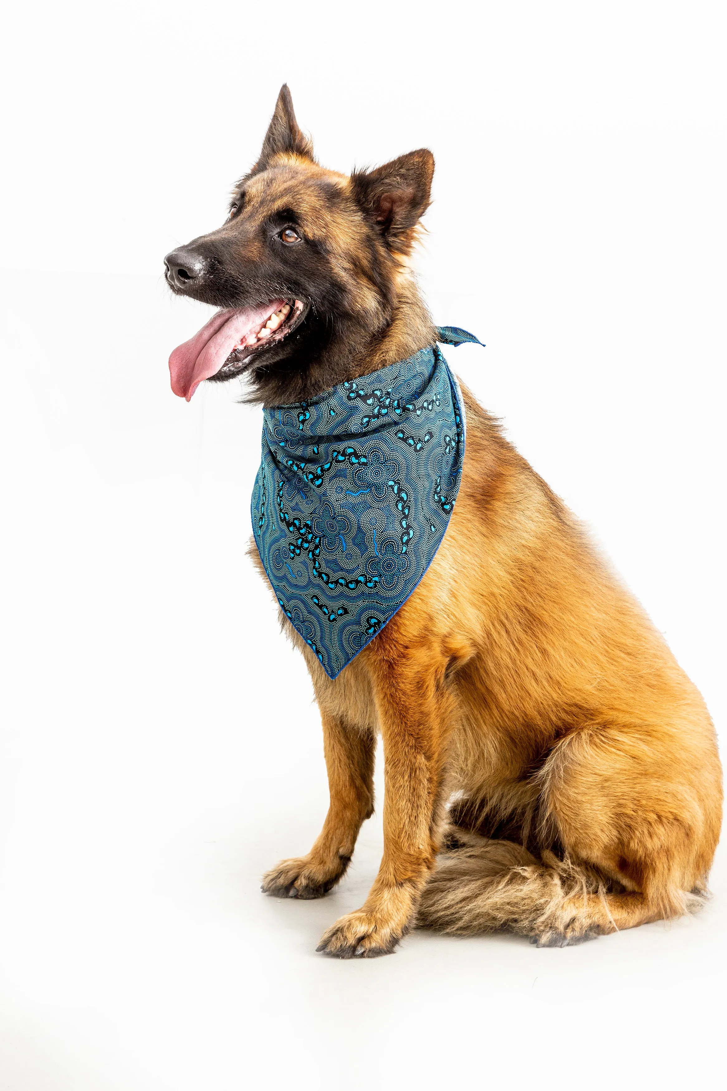 Doggie Bandanas