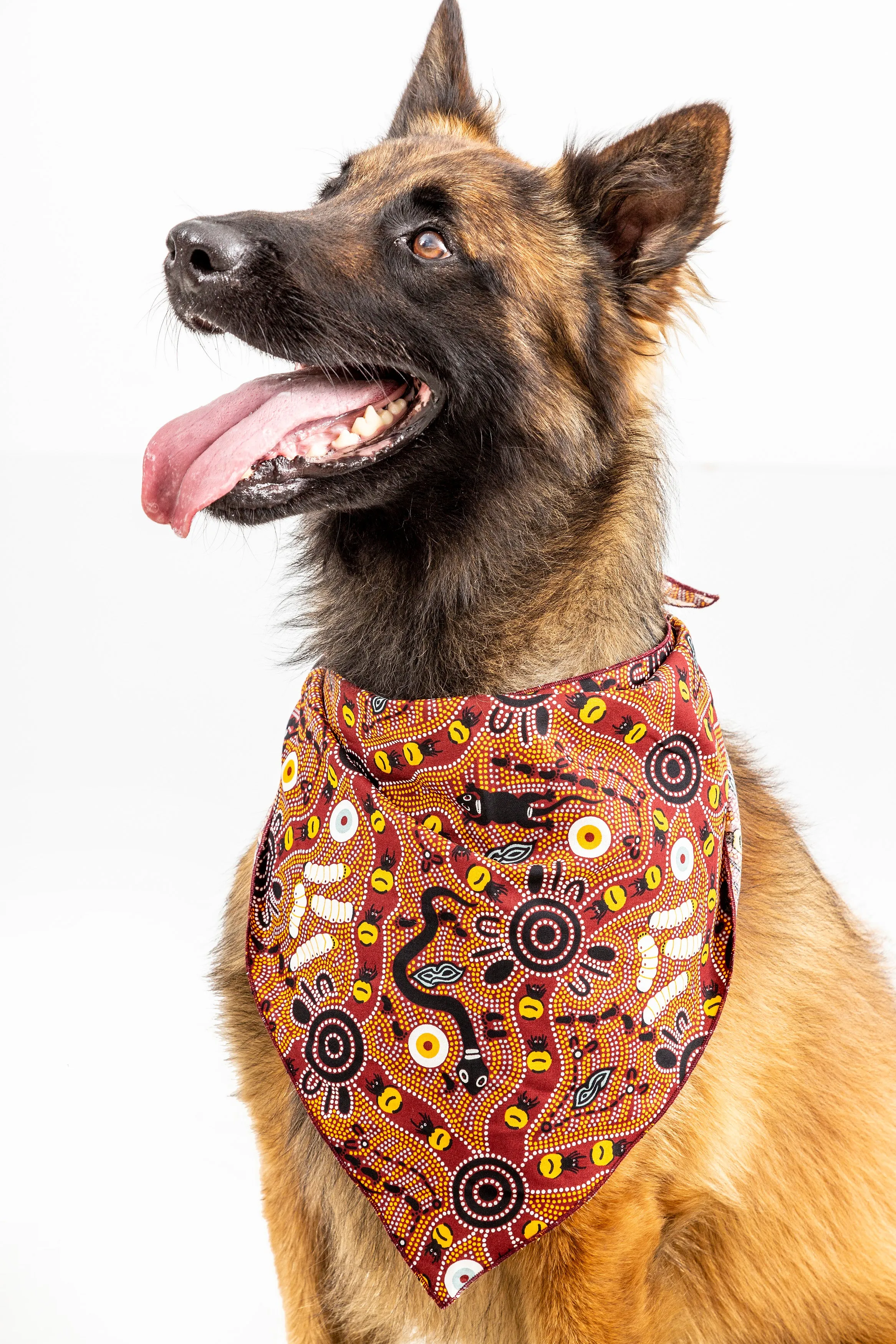 Doggie Bandanas