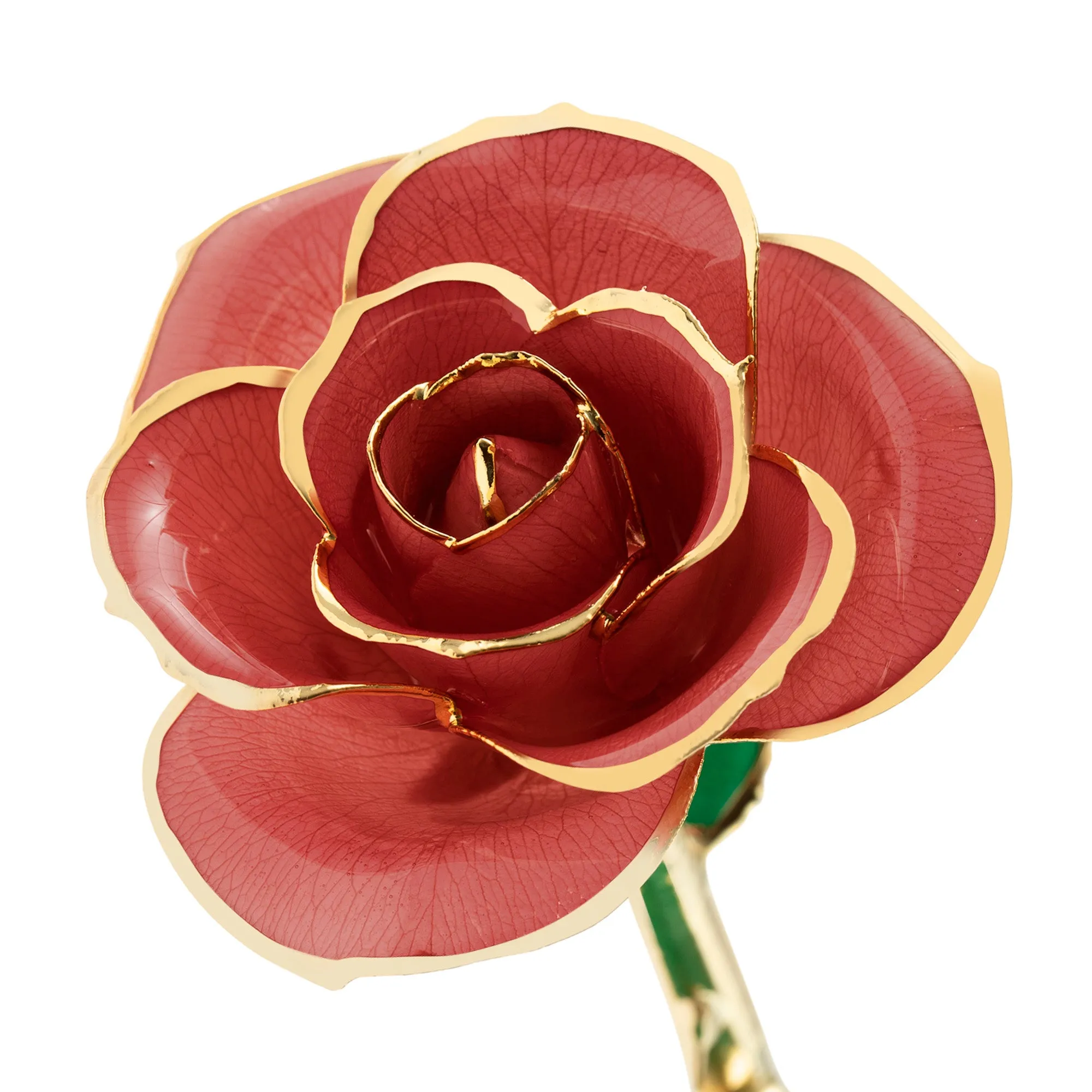 Evening Coral 24K Gold Dipped Rose - LIMITED STOCK-