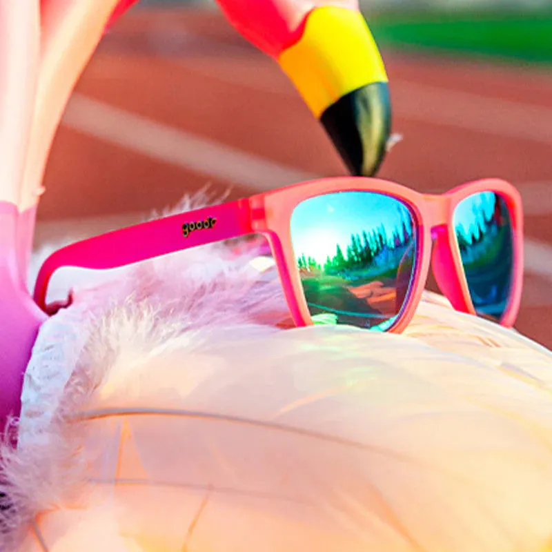 FLAMINGOS ON A BOOZE CRUISE